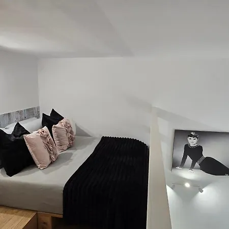 Raymihome Saluzzo 1